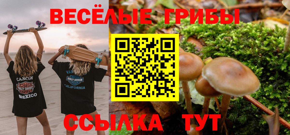Галлюциногенные грибы Cubensis Электросталь