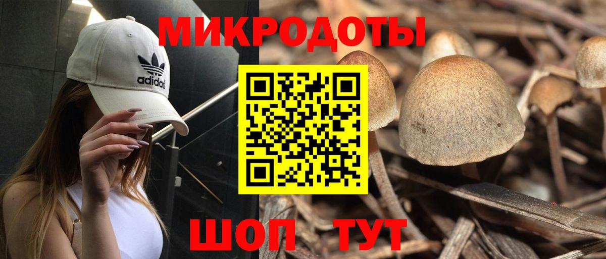 Электросталь  Галлюциногенные грибы Psilocybine cubensis  Вход с VPN  Галлюциногенные грибы прущие грибы 